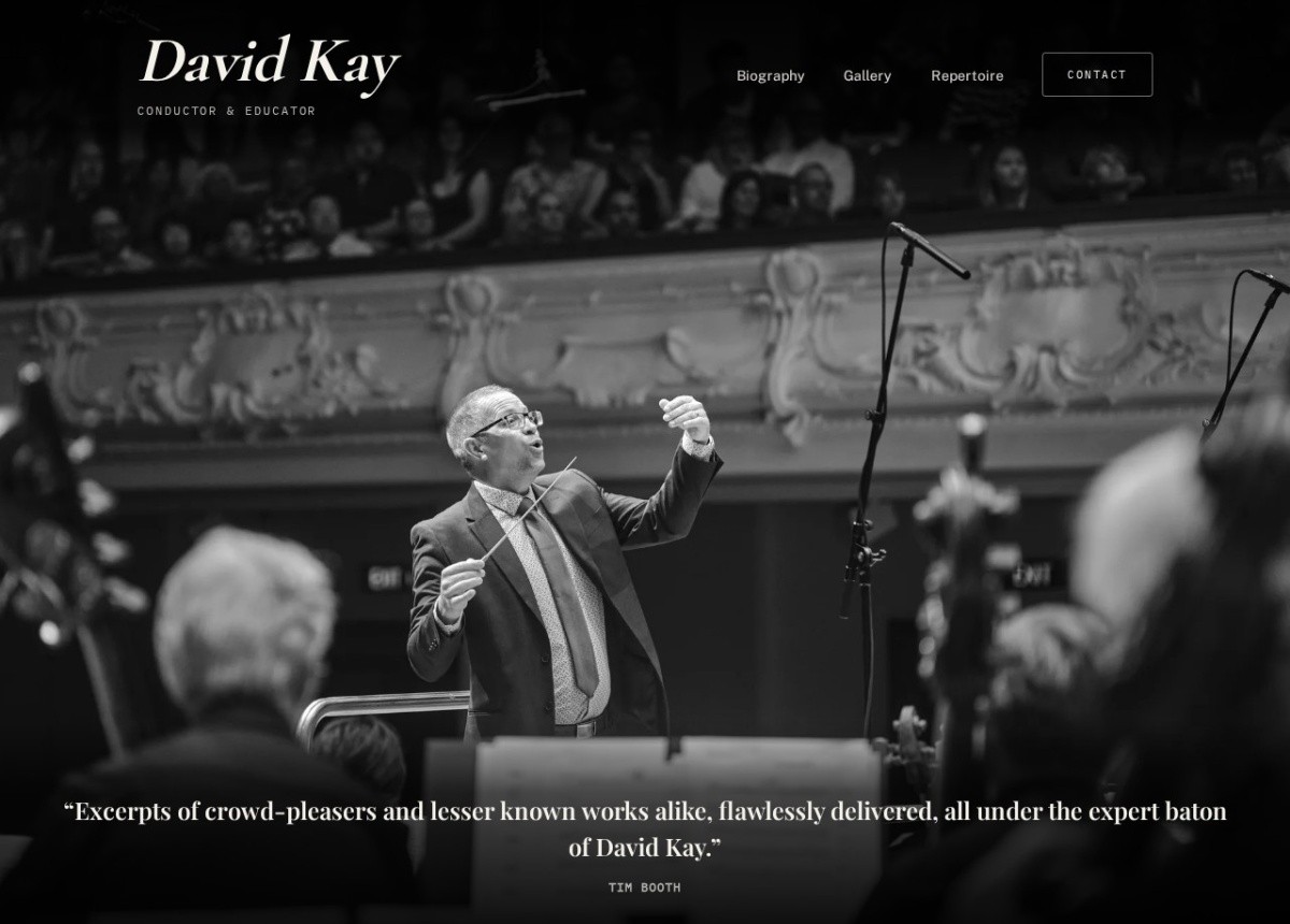 David Kay homepage screenshot